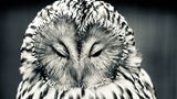 GEO Leserfoto: Die besten Leserfotos: Dezember 2018 - Bild 2