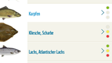 WWF Fischratgeber