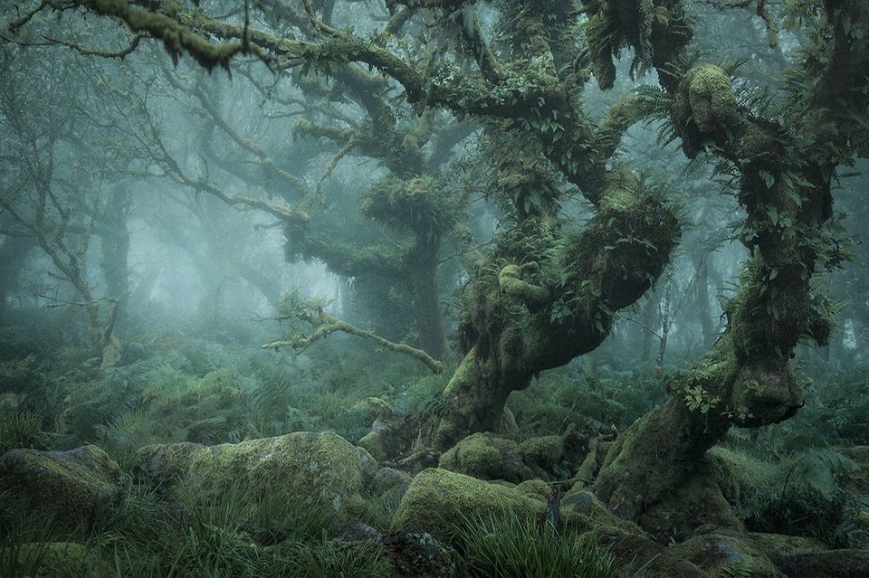 Mystical
