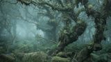 Mystical