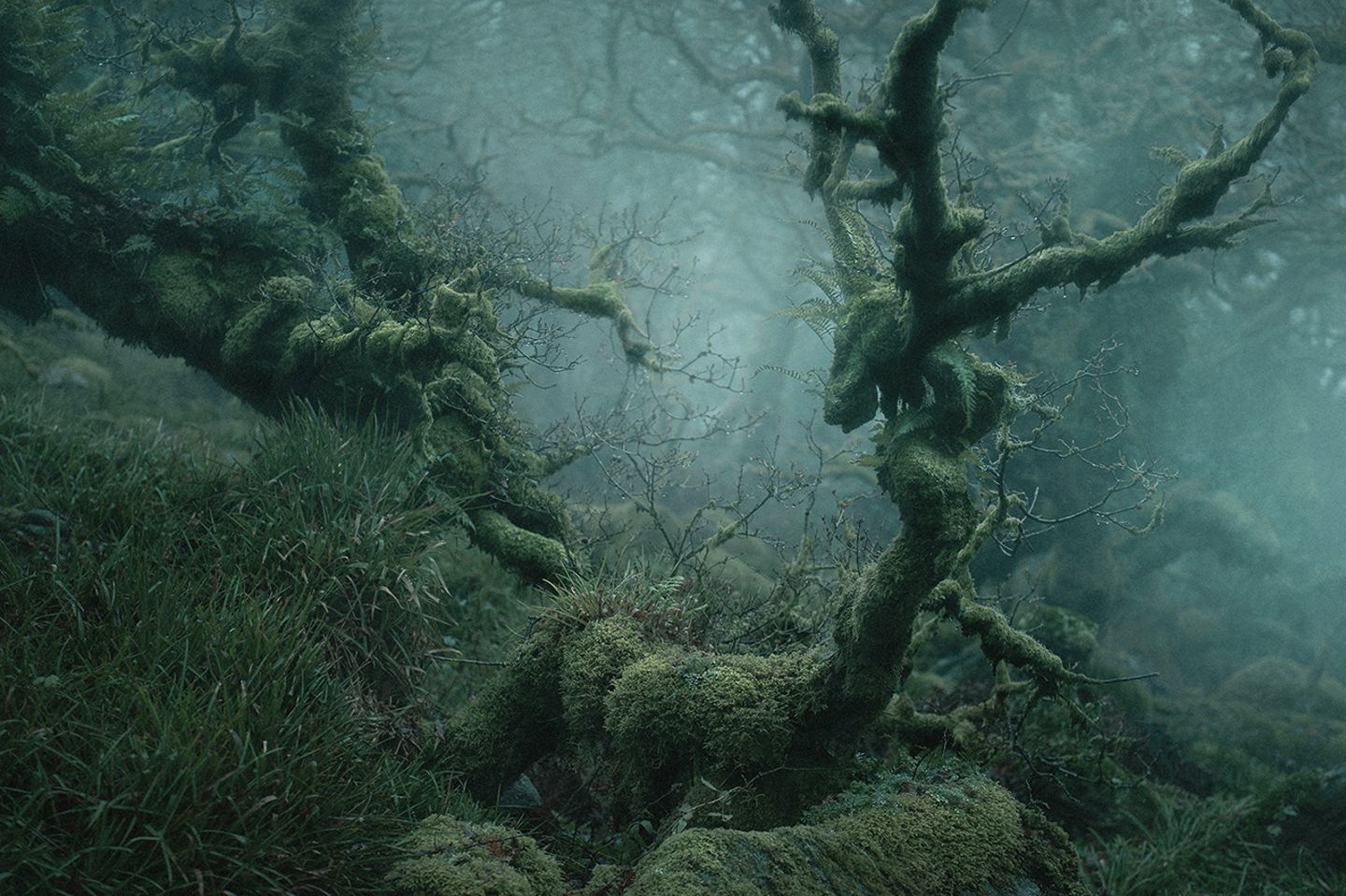 Mystical