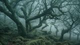 mystical