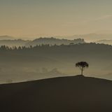 Crete Senesi, Toskana