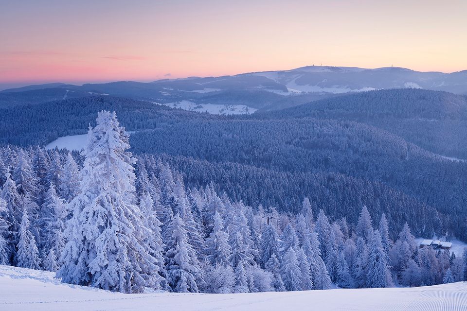 Schwarzwald