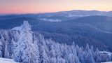 Schwarzwald
