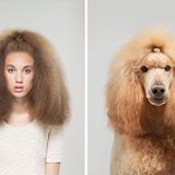 Siehst du aus wie dein Hund?