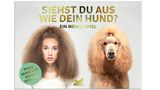 Siehst du aus wie dein Hund?