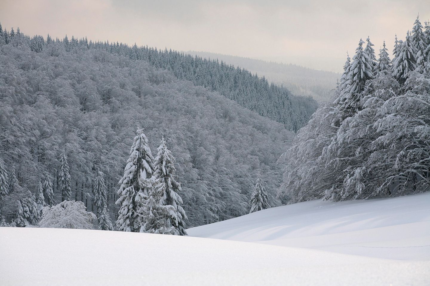 Masserberg Thüringer Wald