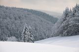Masserberg Thüringer Wald