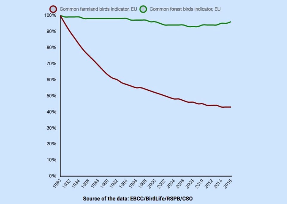 Grafik zum Vogelsterben in der EU Grafik zum Vogelsterben in der EU