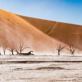 Namib Wüste, Namibia