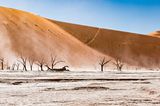 Namib Wüste, Namibia