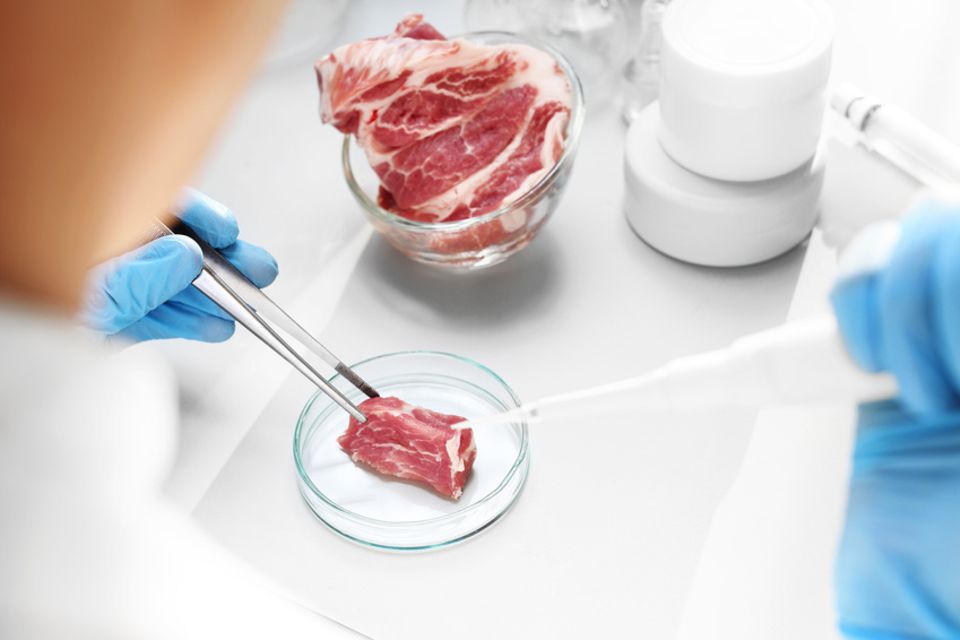 Kunstfleisch im Labor