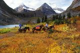 Muskwa-Kechika