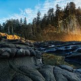 Tow Hill Haida Gwaii