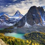 Mount Assiniboine
