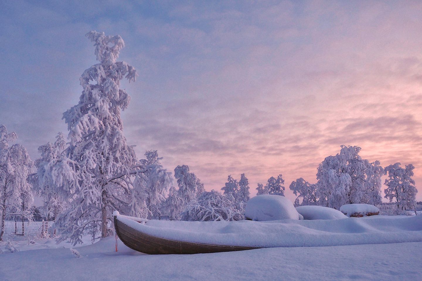 GEO Leserfoto: Die besten Leserfotos: Februar 2019 - Bild 17 Karesundo/Schweden