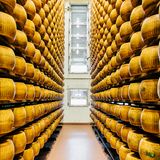 Parmigiano Reggiano Fabrik, Parma