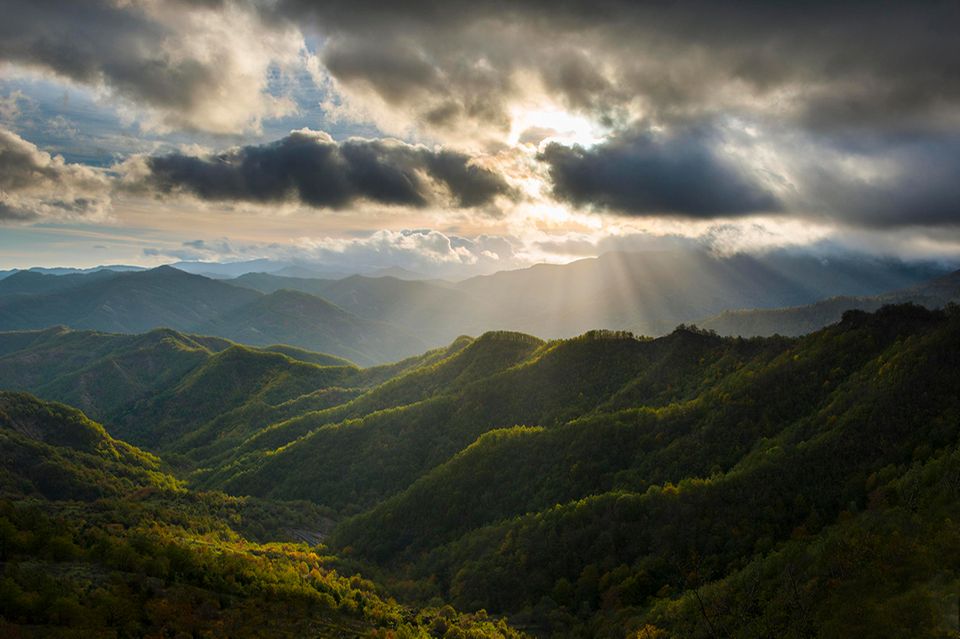 Nationalpark Foreste Casentinesi, Emilia Romagna
