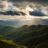 Nationalpark Foreste Casentinesi, Emilia Romagna