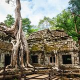 Angkor Wat, Kambodscha