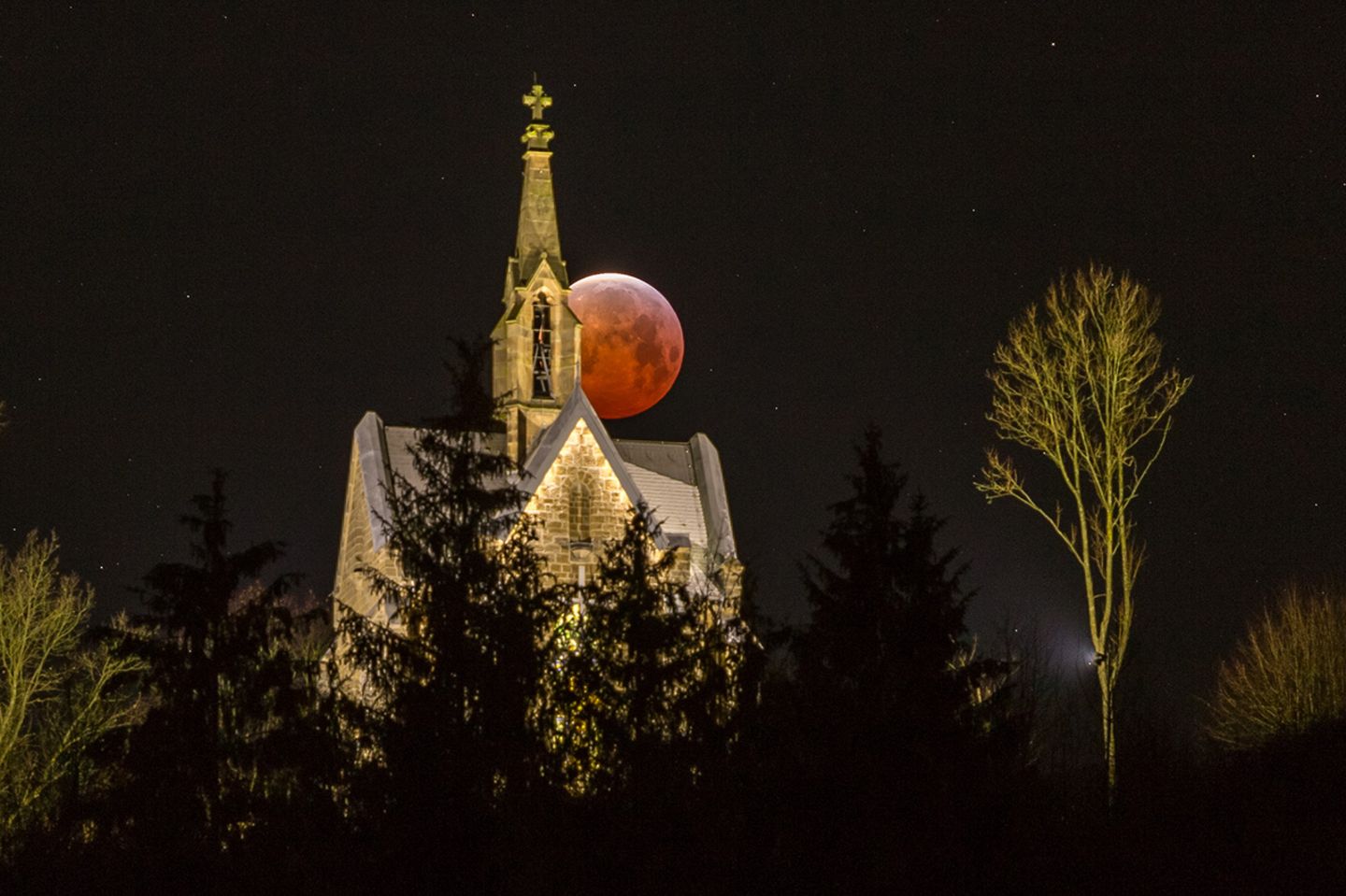 GEO Leserfoto: Die besten Leserfotos: Februar 2019 - Bild 13 Blutmond