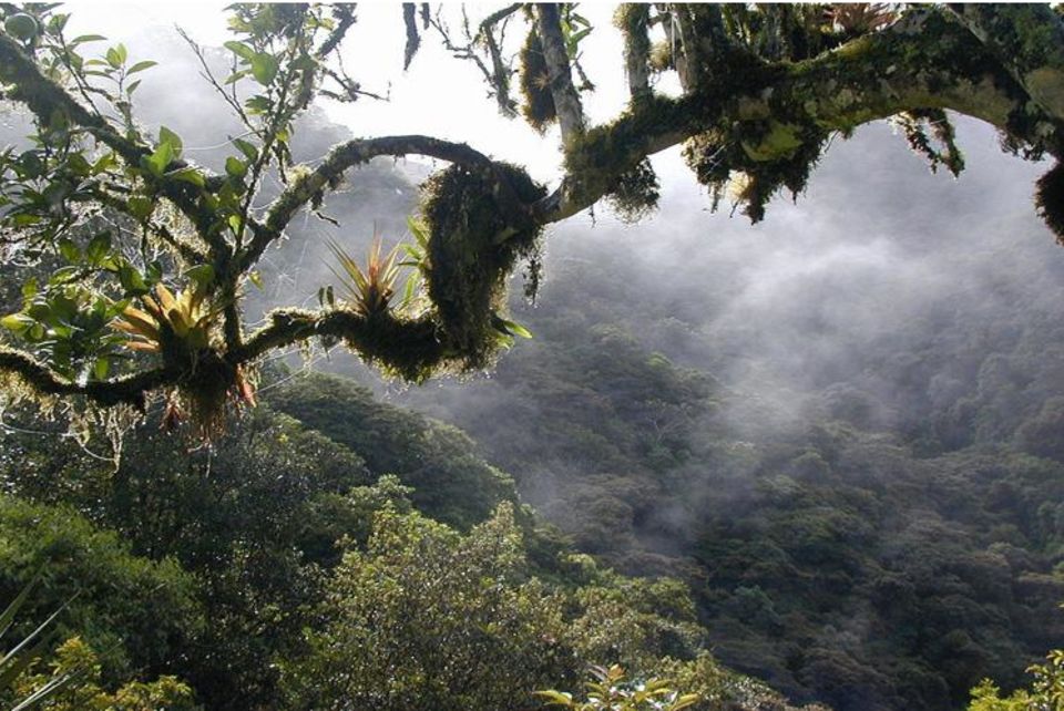 Ecuador: Blick auf das Waldschutzgebiet im Bezirk Cuellaje, Intag Ecuador: Blick auf das Waldschutzgebiet im Bezirk Cuellaje, Intag