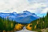 Jasper Nationalpark