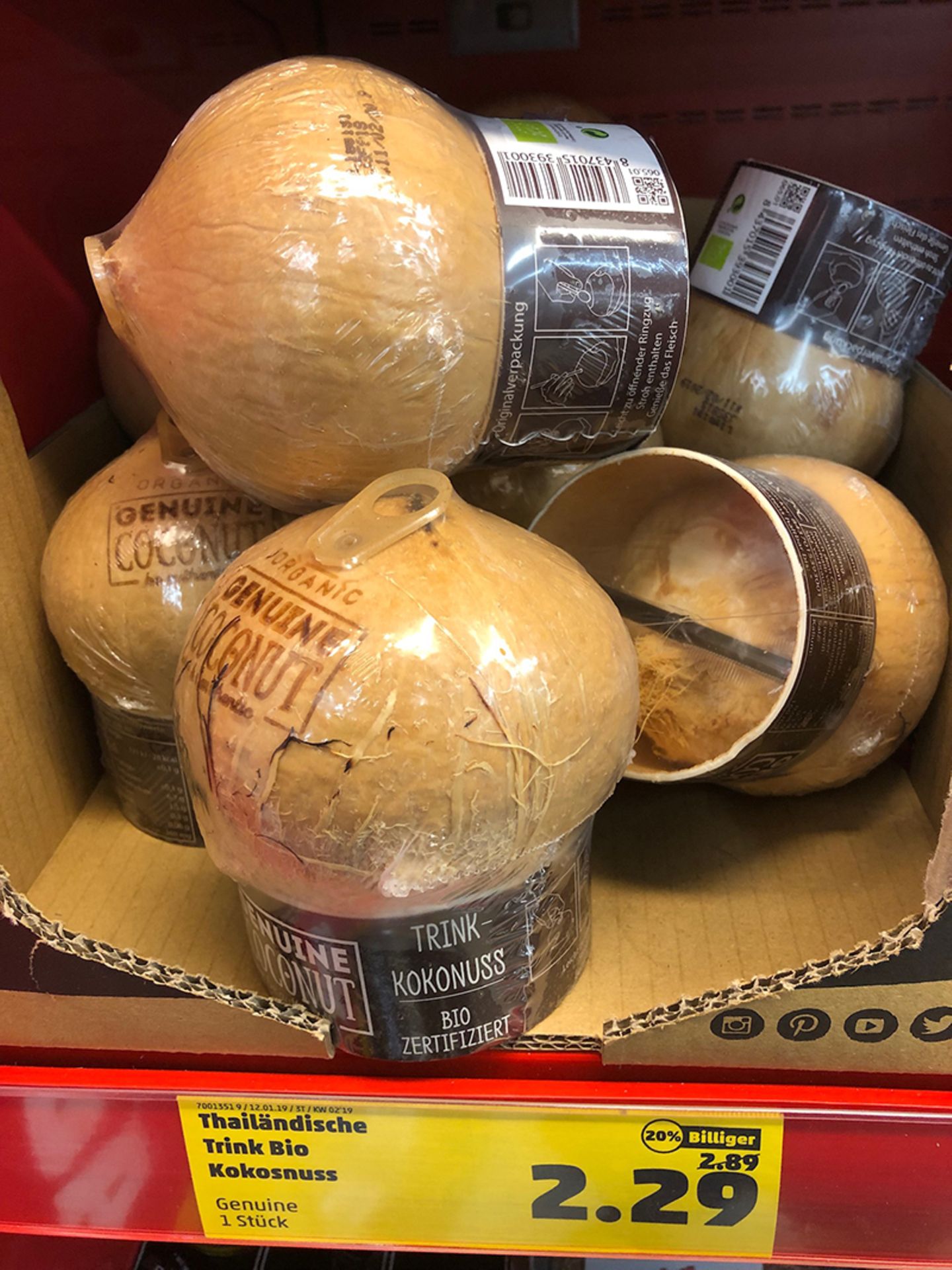 Trinkkokosnüsse