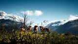 Criollo Patagónico, Provinz Santa Cruz, Argentinien