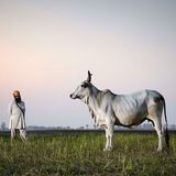 Hariana, Haryana, Indien