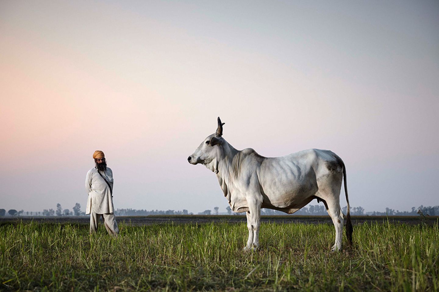 Hariana, Haryana, Indien