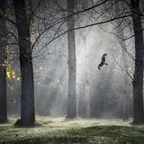 Ferndale Estate, nahe Balingup, Western Australia