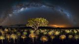 Veadeiros Tablelands Nationalpark, Brasilien