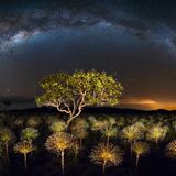 Veadeiros Tablelands Nationalpark, Brasilien