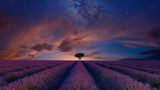 Valensole, Frankreich