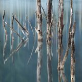 Der Cuejdel See, Rumänien