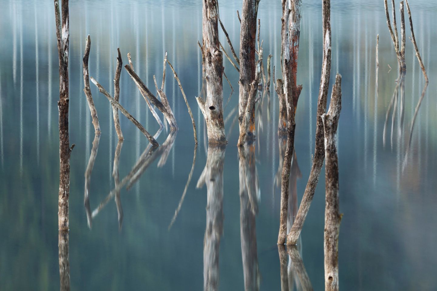 Der Cuejdel See, Rumänien
