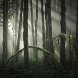 Golden Ears Provincial Park, Britisch-Kolumbien, Kanada