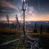 Grosser Rachel, National Park Bayerischer Wald, Bayern, Deutschland