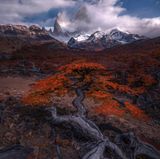Nationalpark Los Glaciares, Patagonien, Argentinien