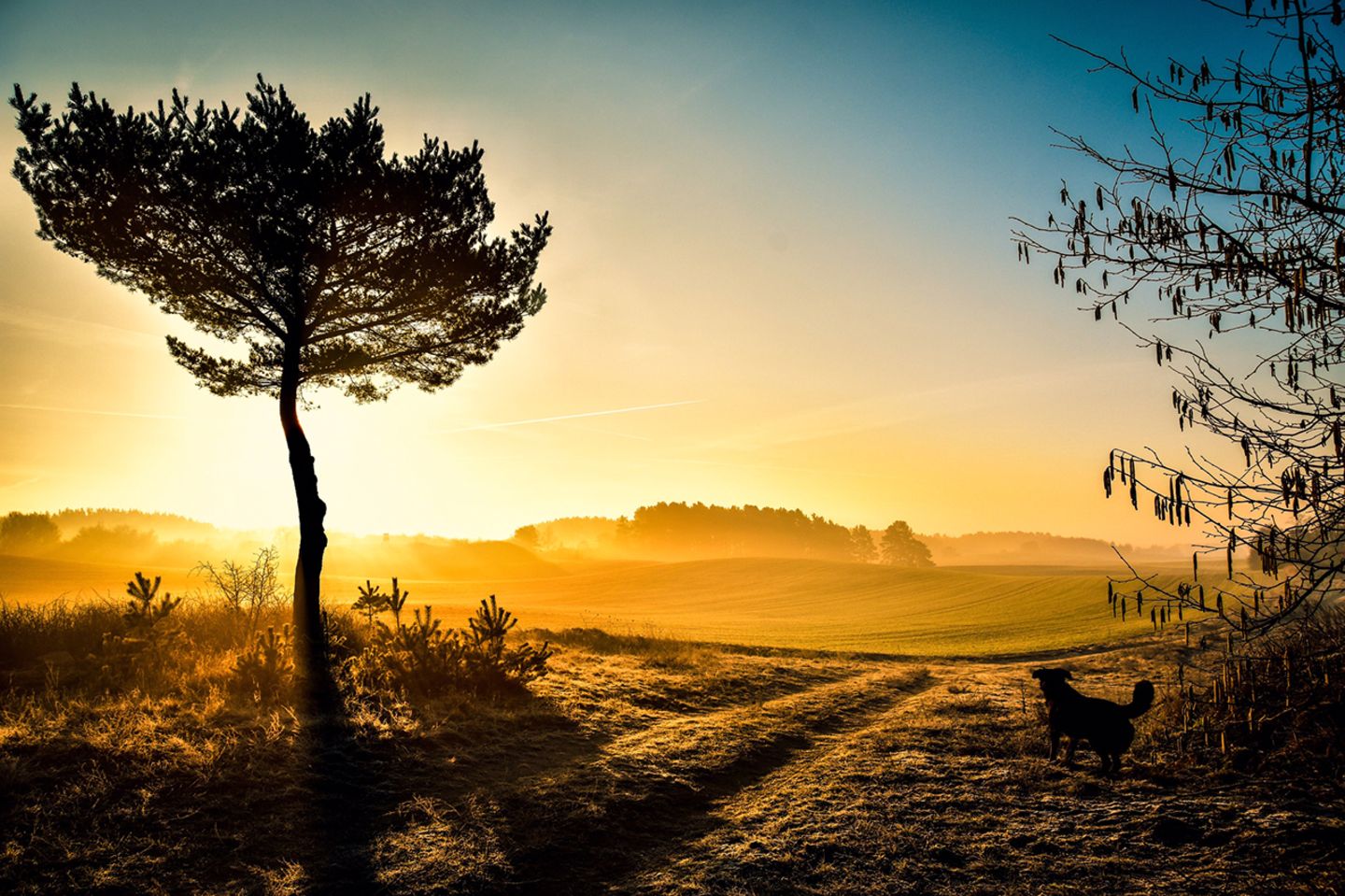 GEO Leserfoto: Die besten Leserfotos: Februar 2019 - Bild 5 Userin