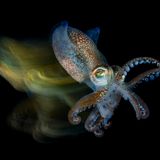 Fabio Iardino/UPY 2019