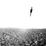 Henley Spiers/UPY 2019