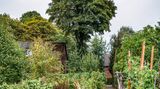 Die Werkssiedlung Eisenheim, Ruhrgebiet