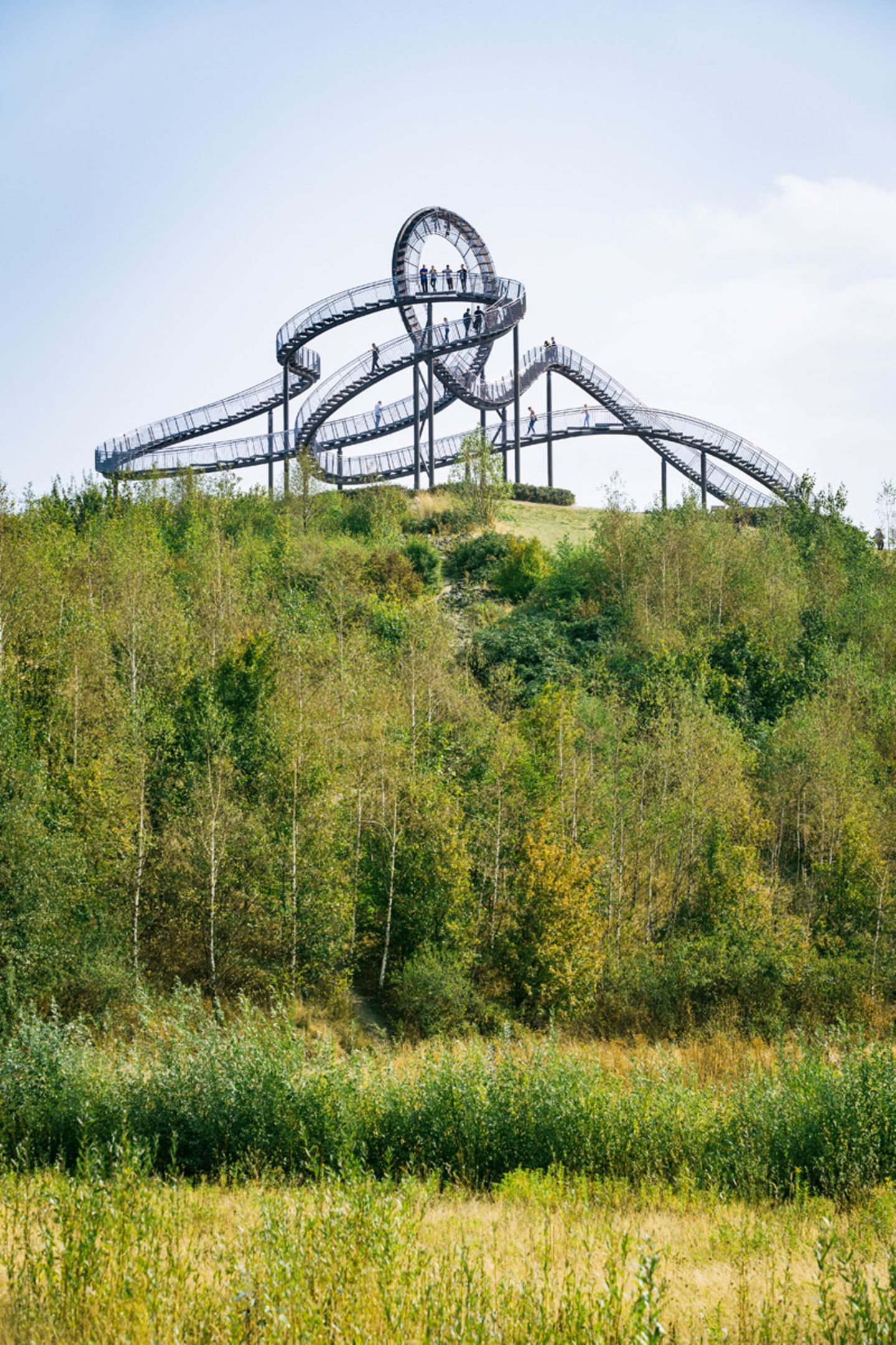 Tiger & Turtel, Duisburg