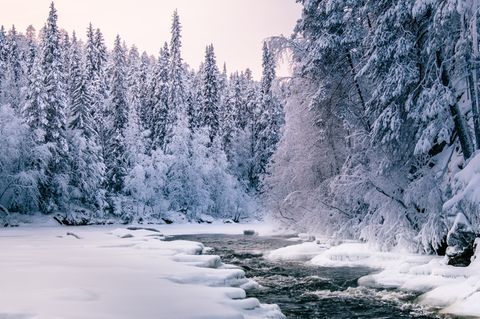 Oulangan Kansallispuisto, Finnland