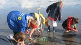 Wattenmeer