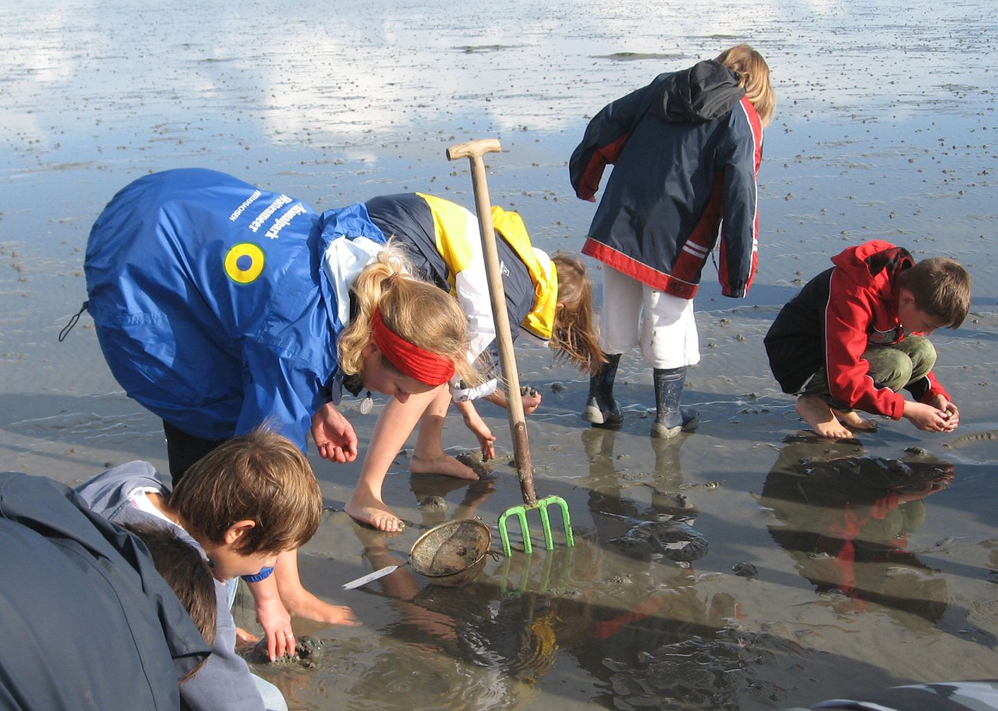 Wattenmeer