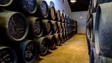 Sherry Bodega Tío Pepe